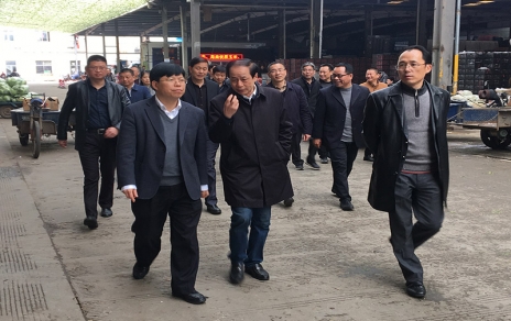 2017年3月16日下午，嘉興市委常委、常務(wù)副市長(zhǎng)樓建明帶領(lǐng)市級(jí)相關(guān)部門負(fù)責(zé)人視察嘉興蔬菜批發(fā)市場(chǎng)