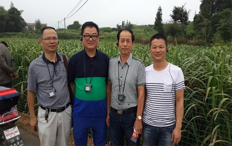 2014年8月，中國(guó)蔬菜流通協(xié)會(huì)會(huì)長(zhǎng)戴中久與公司、市場(chǎng)領(lǐng)導(dǎo)一起考察蔬菜基地