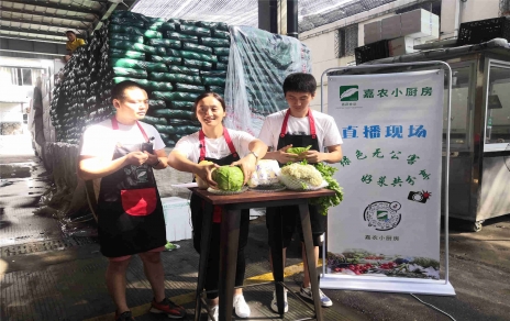 創(chuàng)意直播帶貨,本期專欄：蘭州高原夏菜！