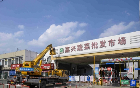 進無止境，“嘉農(nóng)?蔬菜人”